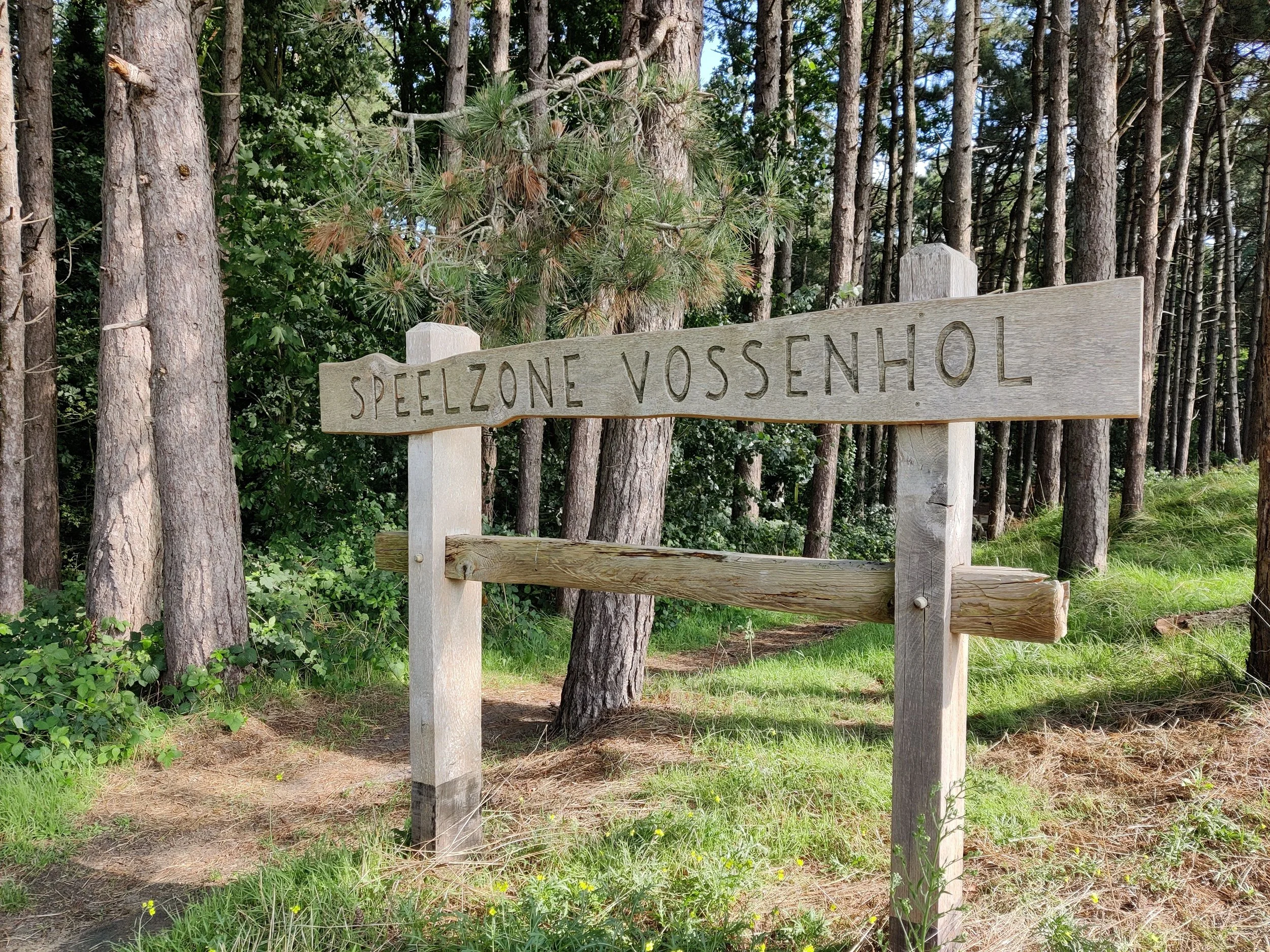 Children exploring the Wonderbos play forest in the Duinbossen of De Haan